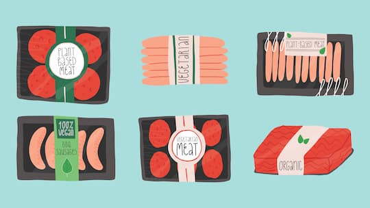 Illustrationen diverser vegetarischer Produkte, die auf Fleischersatz aufbauen. Sind solche Lebensmittel wirklich gesund? Ernährungswissenschaftler David Fäh äussert sich im Interview mit dem Beobachter kritisch.