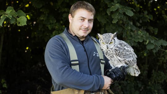 Unterwegs mit dem Falkner Benjamin Gregor-Smith in Oberwil, Basel-Landschaft