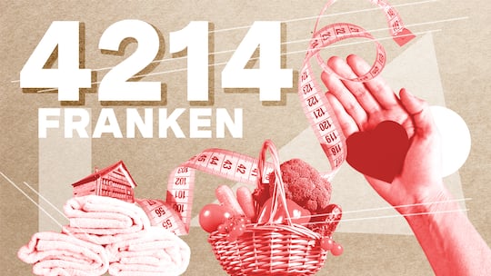 Illustration zur Serie Die Abrechnung mit Angabe des Einkommens als Zahl