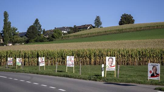 Schilder von Parteien und Kandidierenden