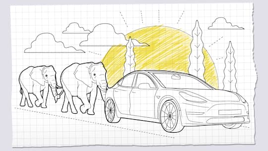 Zwei Elefanten schlendern hinter einem Auto her