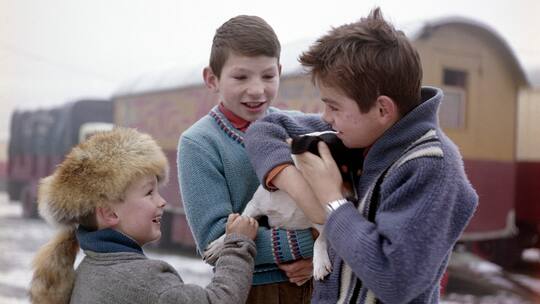 Schweizer Jenische in ihrem Winterquartier, 1960.