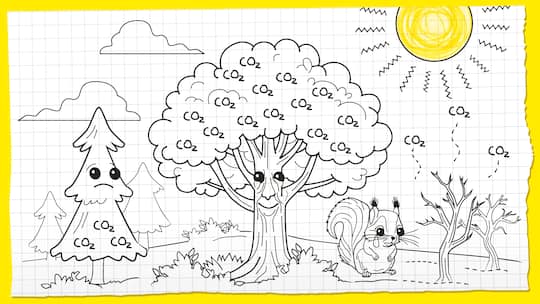 Eine Kinderzeichnung mit Bäumen, in deren Krone CO2 steht