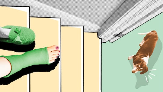 Ein Fuss im Gips aus der Vogelperspektive auf einer Treppe, vor dem ein Hund steht. Wer zahlt, wenn man im Home Office verunfallt.