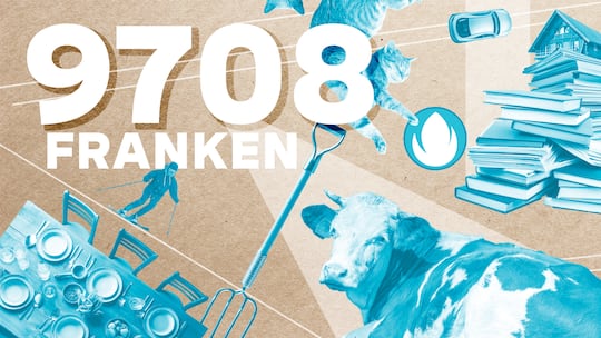 Illustration mit der Lohnangabe 9708 Franken und Zeichnungen von Kuh, Bücher, Esstisch, Katze, Haus und Auto, Essen; Bergbauern-Paar: «Jeden Monat bleiben 3000 Franken für uns übrig»; Für die Beobachter-Serie «Die Abrechnung» verraten Leute, was sie verdienen. Biobergbauer Stefan Gubler und seine Frau haben einen Stundenlohn von unter 17 Franken – doch sie erhalten hohe Subventionen.