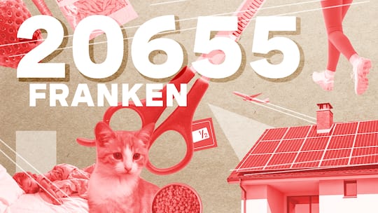 Illu mit Büsi, Haus und Geld – Treuhänderin und Informatiker verdienen viel, deshalb schauen sie beim Urlaub nicht aufs Geld