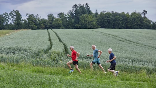 Drei Senioren joggen über einen Feldweg.