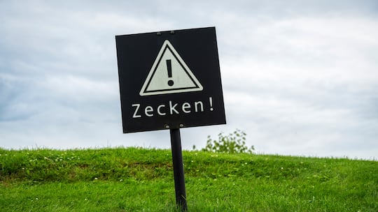 Ein schwarzes Schild mit einem Warnhinweis «Zecken!» steht auf einer grünen Wiese. Wie wird ein Arztbesuch wegen eines Zeckenstichs bei der Krankenkasse abgerechnet?