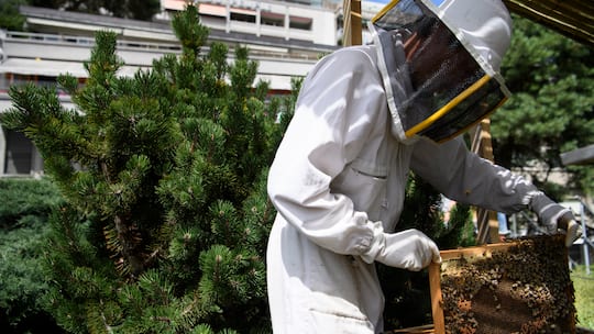 Ein Imker arbeitet an Bienenkästen in einem Lausanner Wohnquartier