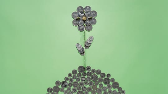 Viele wollen ihr Geld umweltverträglich investieren. Das Angebot ist gross, aber nicht immer sauber. Eine Beobachter-Auswahlhilfe. Blume aus Schweizer Geldmünzen