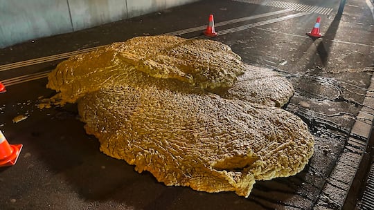 Luzern: Ein riesiger Fettklumpen quoll aus der Kanalisation aufs Trottoir