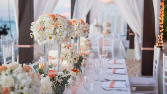 Ein langer Tisch ist für eine Hochzeitsgesellschaft eingedeckt.