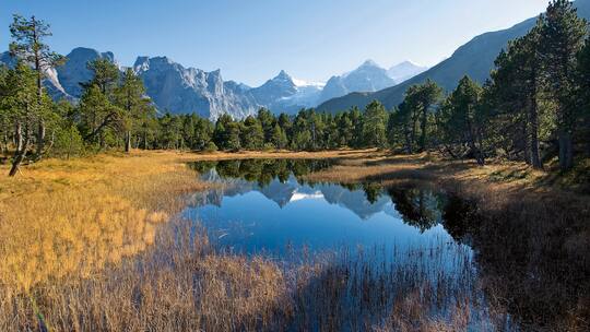 Farbenzauber garantiert