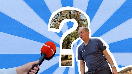 Collage mit Foerster Urs Steck - Hitze und Dürre setzen dem Schweizer Wald zu. Gleichzeitig sorgt ein Gerichtsurteil zur Haftung bei abbrechenden Ästen für Diskussionen in der Community
