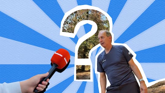 Collage mit Foerster Urs Steck - Hitze und Dürre setzen dem Schweizer Wald zu. Gleichzeitig sorgt ein Gerichtsurteil zur Haftung bei abbrechenden Ästen für Diskussionen in der Community