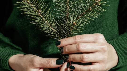 Frauenhände mit einem Tannenzweig: Alternative Geschenkideen