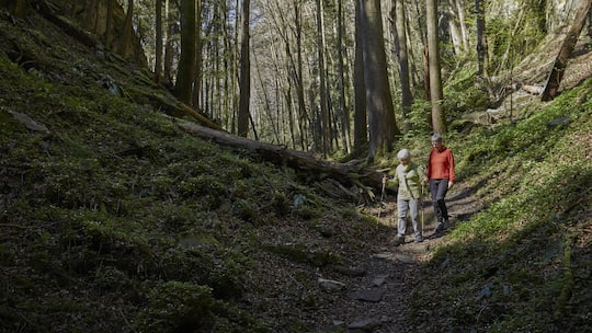Wanderer im Wald - Bei Temperaturen über 35 Grad bleibt man lieber drinnen, besonders ältere Menschen. Doch beim Beobachter finden Sie neun kühle Ausflugsziele.