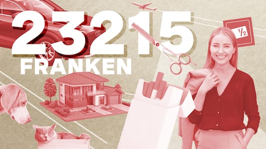 Collage mit Hund, Haus und Frau - Lara Bianchi ist Regionalleiterin in einer Reinigungsfirma, ihr Mann Geschäftsführer im Gesundheitswesen. Sie leben gut, müssen aber noch Schulden abbezahlen. Für die Beobachter-Serie legt die Familie ihr Budget offen