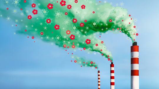 Grüner Rauch aus dem Kamin