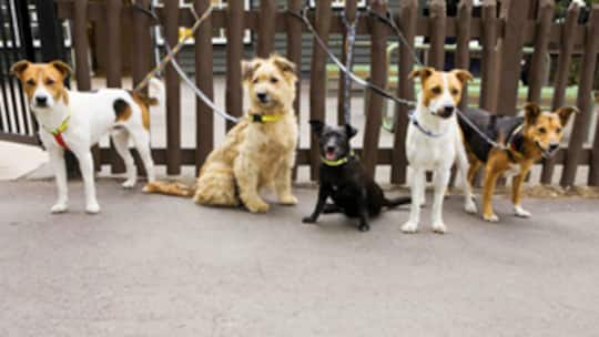«Abschreckende Wirkung»