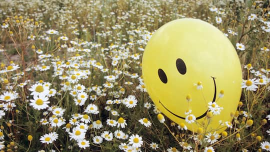 Ein Emoji-Ballon im Blumenbeet