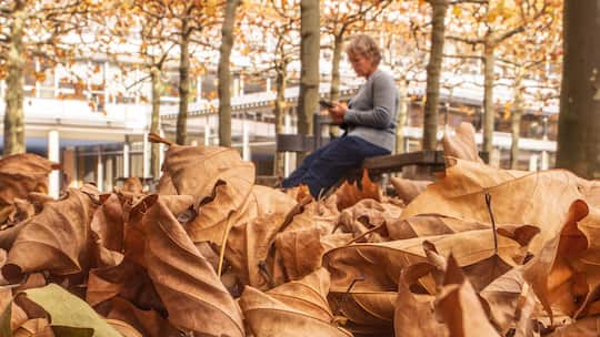 Eine Rentnerin sitzt an einem Herbsttag auf einer Parkbank.