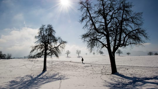 Winterspaziergang bei strahlendem Sonnenschein: Maria Lichtmess