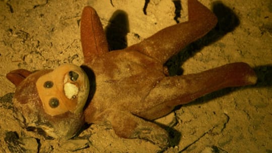 Je kleiner, desto gefährdeter