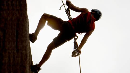 Müssen Sportler Chemie essen?