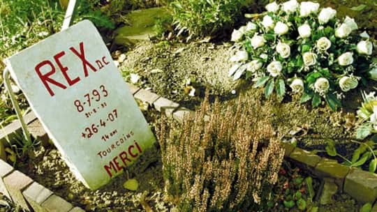 Die Trauer um den treusten Freund