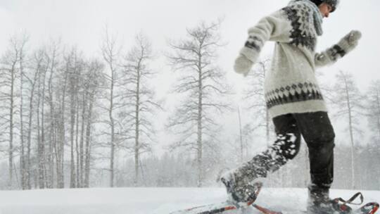 Hochgefühl im Tiefschnee