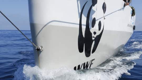 «Der WWF kann gerne vor Gericht gehen»