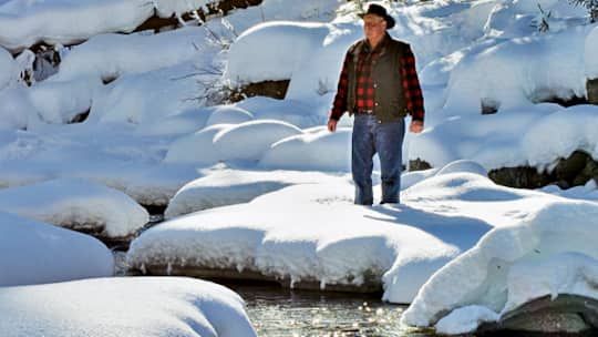 Und ewig lockt das Gold