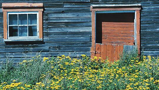 Das Rennen um den Altbau