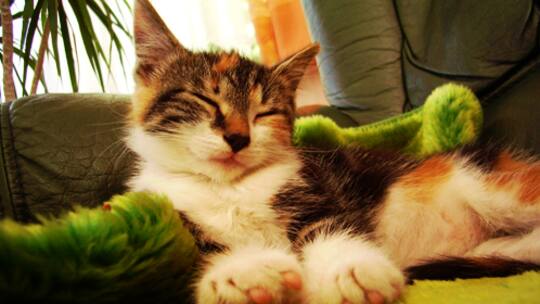 Garantie für Komfort und Sparsamkeit