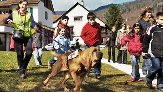 Entwarnung vor dem Hunde