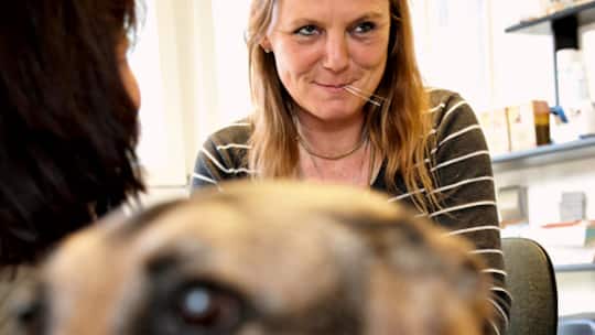 Die Frau mit den Nadeln