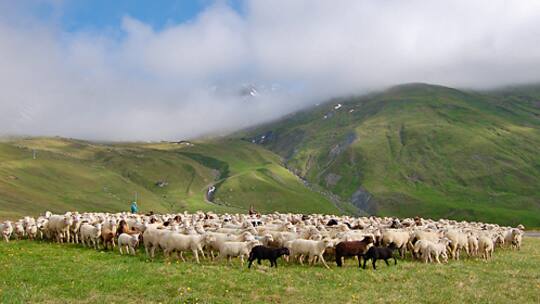 «Dann machen wir es illegal»
