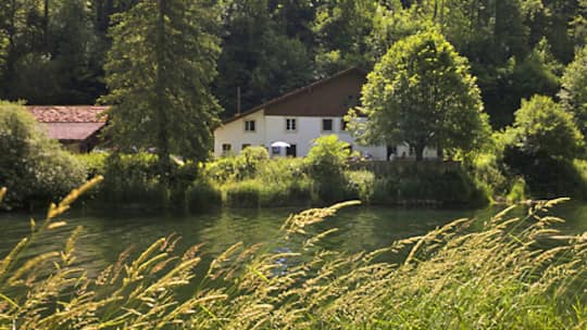 In kühlen Auen Fische schauen – und verspeisen
