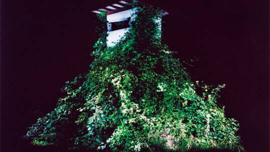 Jäger auf verbotenem Posten