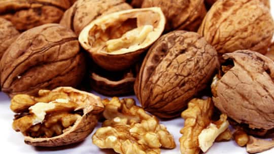 So knacken Sie fast jede Datei