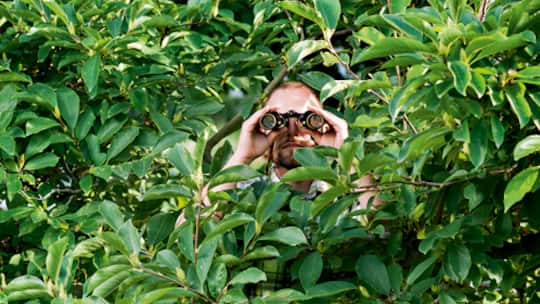 Die Lizenz zum Schnüffeln