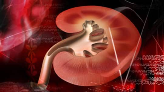 Ein Geschenk fürs Leben