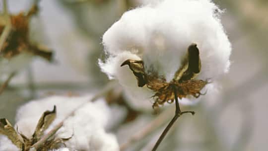 Die Masse macht den Unterschied