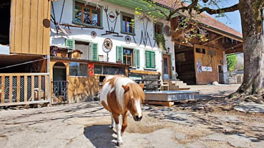 «Natürlich verstehen mich die Tiere»
