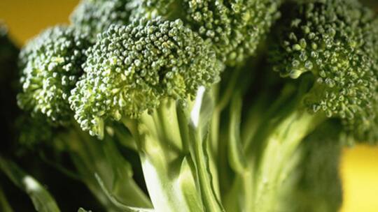 Brokkoli schützt vor Asthma