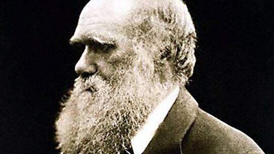 Das Geheimnis hinter dem Bart des Propheten