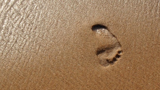 Wie viele Planeten brauchen Sie?