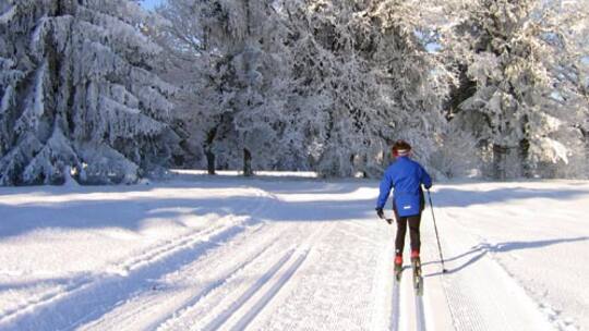 Umweltbewusste gehen «öko» auf die Loipe