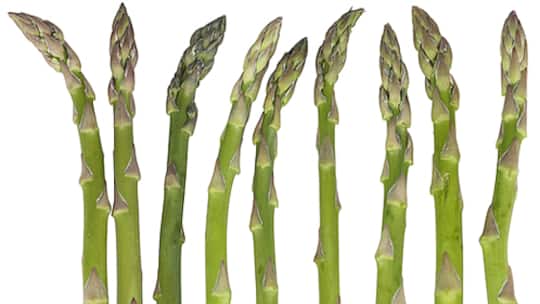 Was Spargel mit Erdöl zu tun hat